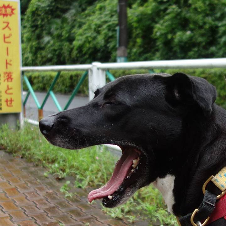 37b687b8 bdc5 46b0 a57f ceec4a46a6d5 1625703560333