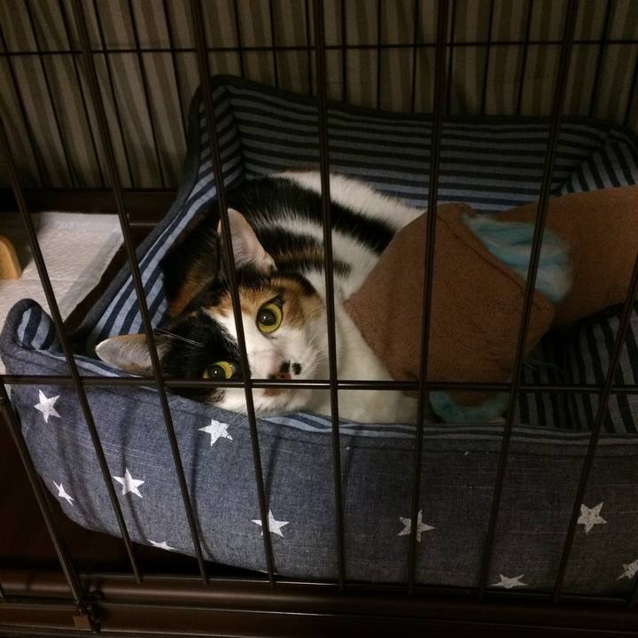 37b6b713 54f9 4ed3 acc6 70a06300925d 1580680611038