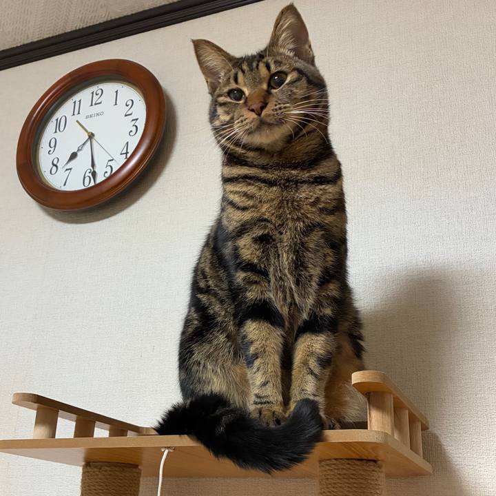 37b6f0e8 7345 495b a020 34bfd7c4dbef 1764584772210