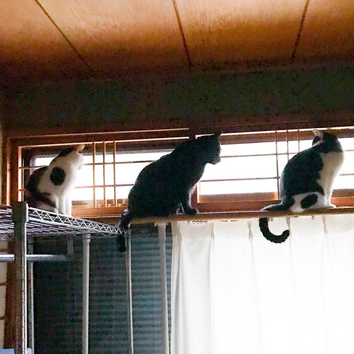 37b7077c 3911 48e6 af67 eac87fdc9836 1515123334907