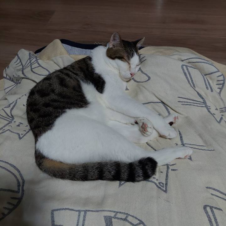 37b709e9 d45b 4667 ac2e 92a59dd52eec 1661603637320