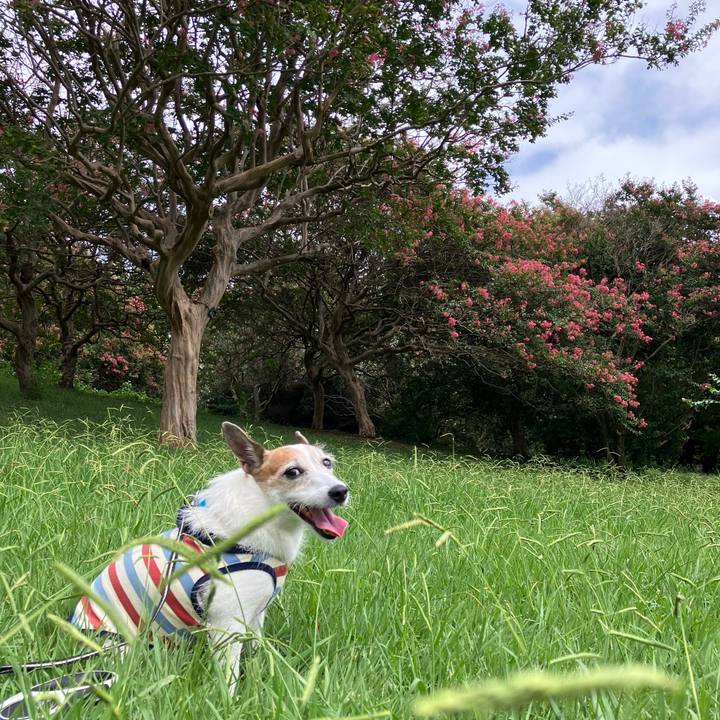 37b73475 7238 419d 9798 408ac04fe384 1725319504935