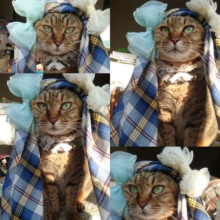 37b735c0 4885 49d9 a40b 993276caf284 1762044905271