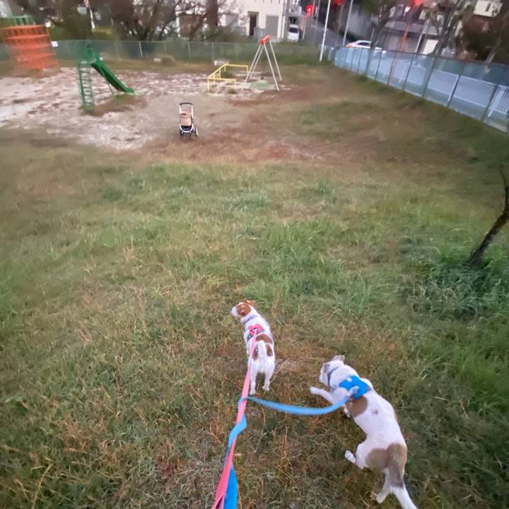 37b75083 d7b4 4ae9 9a81 9c4960a6dadc 1731361934257