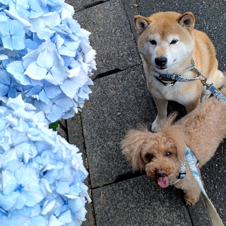 37b7700b deeb 4d00 91bb d58d5e0de801 1623317052339