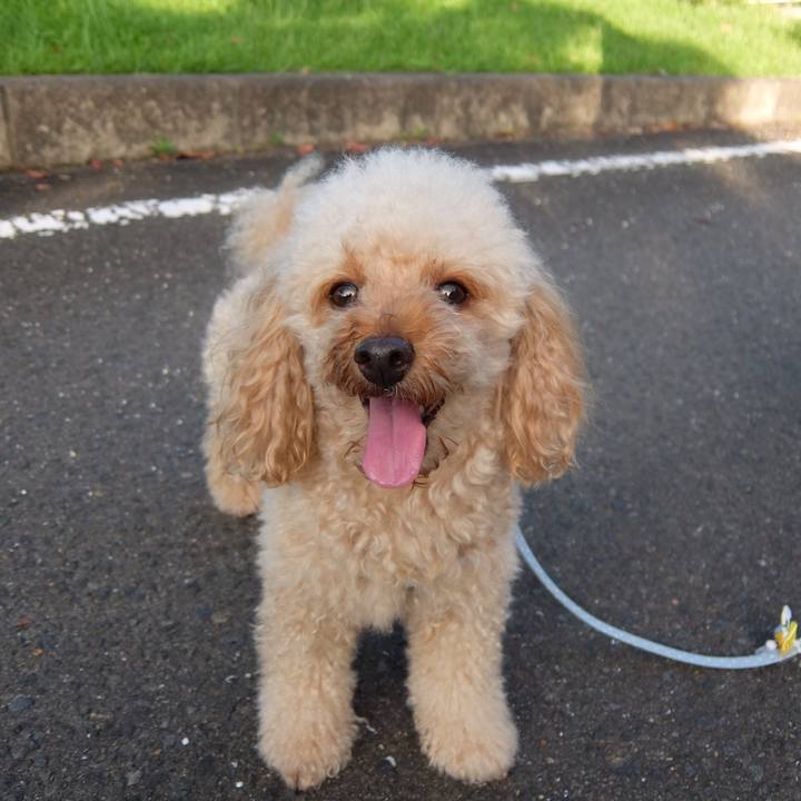 37b7a7de 8f47 47ab adc3 63e22af1d3e5 1597537166979