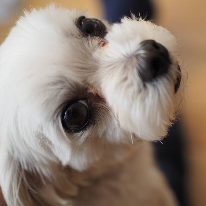 37b7aa56 89b9 4f9a 8484 e78444b1b93c 1588367839849