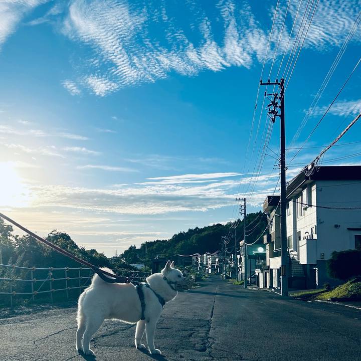 37b7b022 3804 4583 922a bc69a32ed528 1726179712456