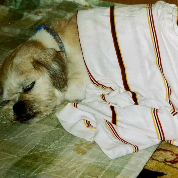 37b83d08 d505 4135 84f4 b7c1a403ac03 1638931600372