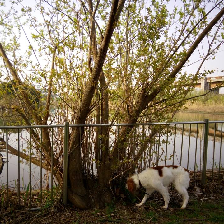 37b84d11 9a65 4afd b876 9a3ca00ccacf 1522628316603