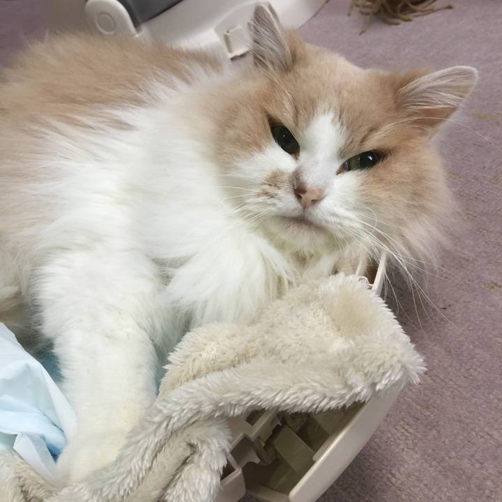 37b87625 4e03 4514 8191 5103b5d15f73 1580182578833