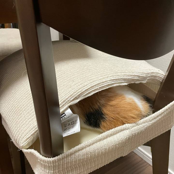 37b878fb 8d51 4b29 af9a 375277cfe53e 1626096301398