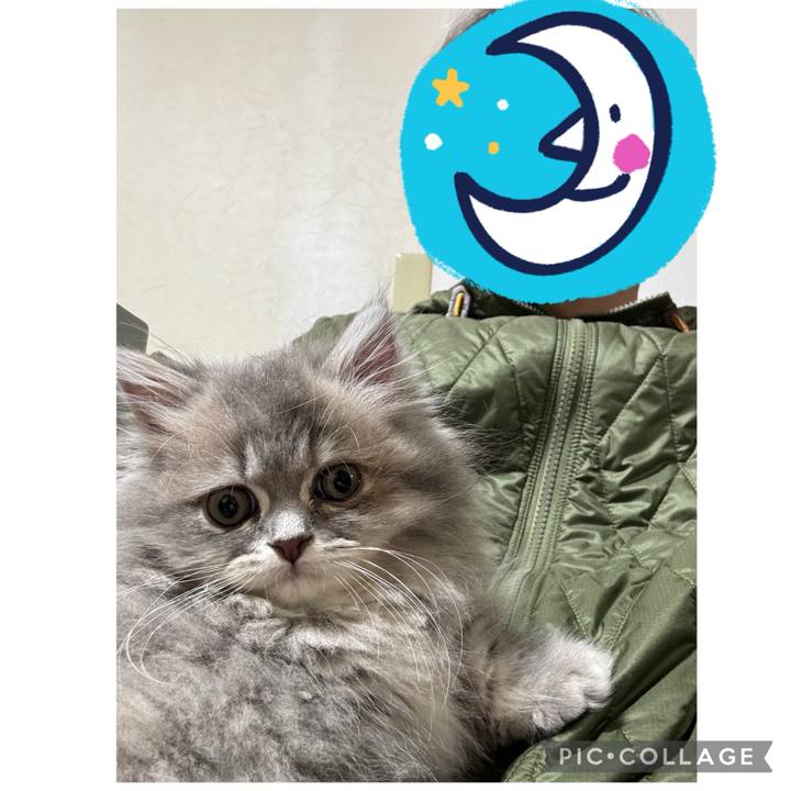 37b8c6b5 30cd 4401 82eb 15550c146054 1731943108608