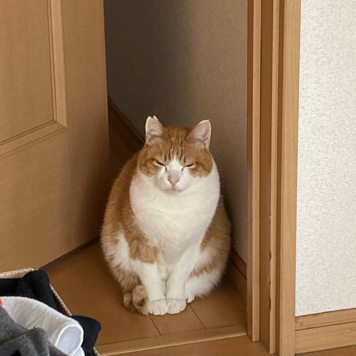 37b8dcaf 00d0 48ce ab1a cdd045a4291b 1773552572383