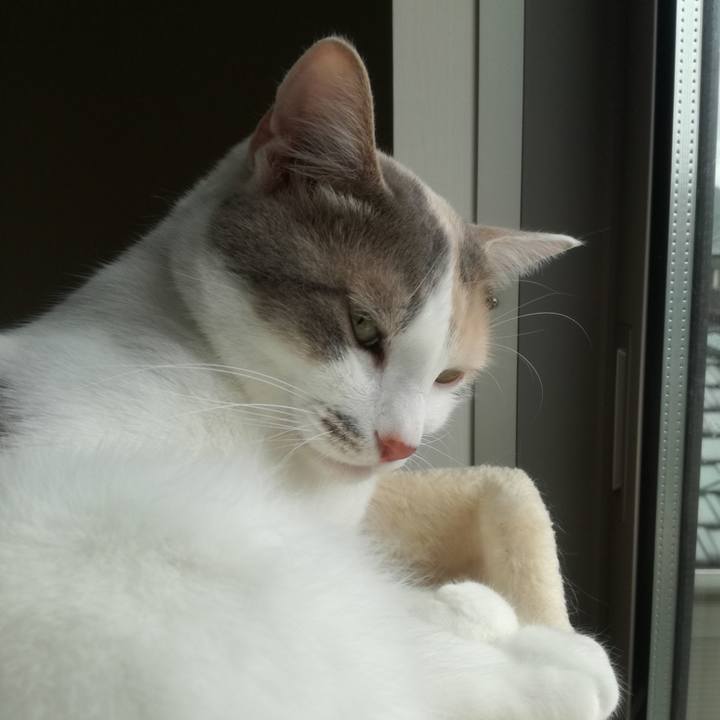 37b90fe2 cf54 448d b9d1 9558c704f6f1 1525848799155