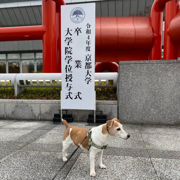 37b94bb2 d471 4880 a9d8 d5c8632b7b64 1679649706484