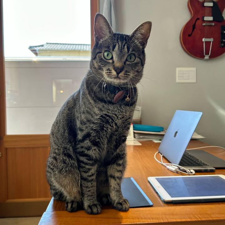 37b95031 d372 47eb 91c0 9a2ffb9d5f6c 1683959156441