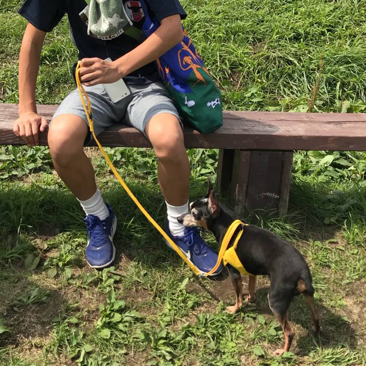 37b96c5c f0f4 466e b1d6 dafd686a8fb3 1535256954745