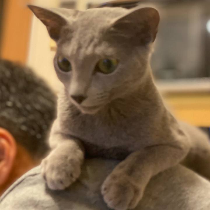 37b99769 593b 42b2 875b 0a7b9abd0bd6 1602430828006