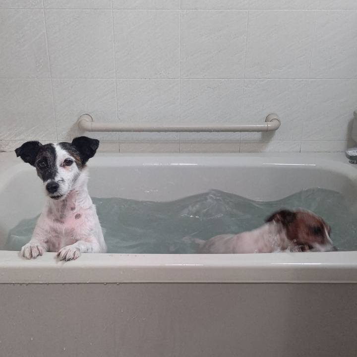 37b9a70b 1a81 487b a016 e5df9fc0449d 1702554304684