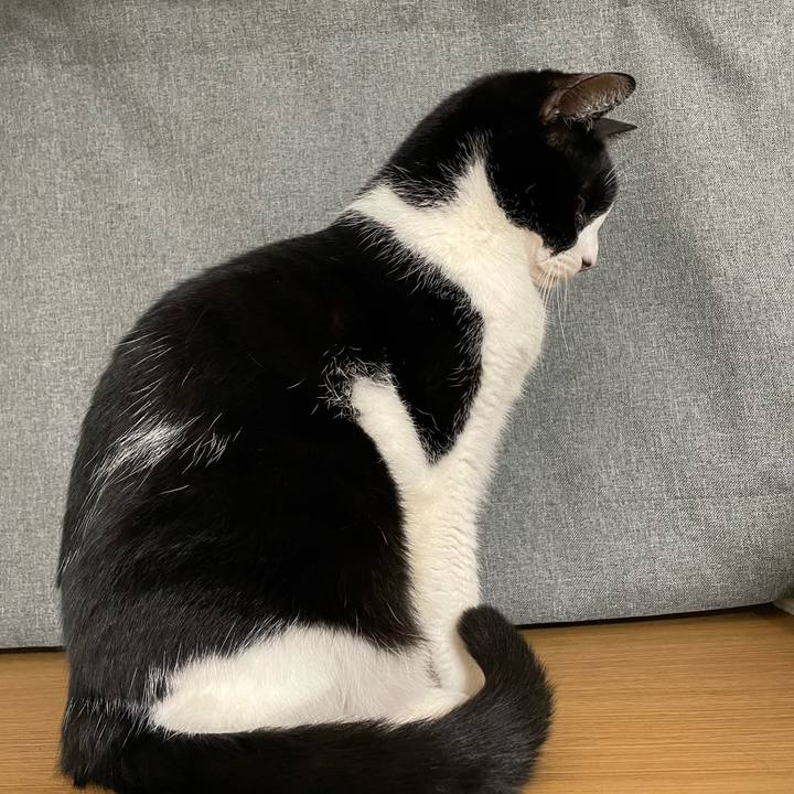 37b9b3dc d112 473f a564 508cb2a1ec24 1738580911486