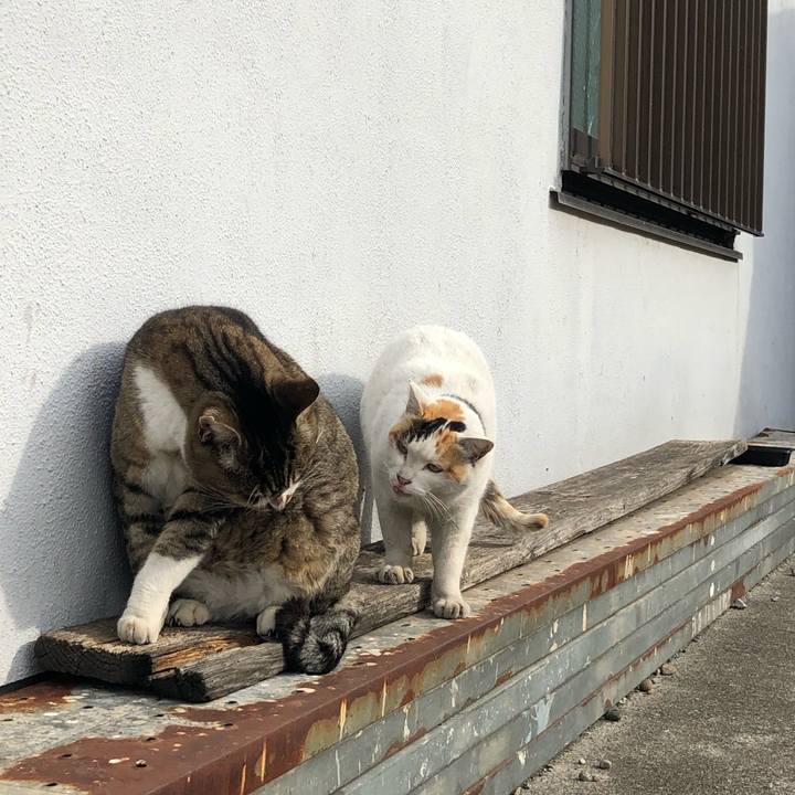 37b9bb04 ee5d 4100 9234 f6c5d60e9663 1544460944878