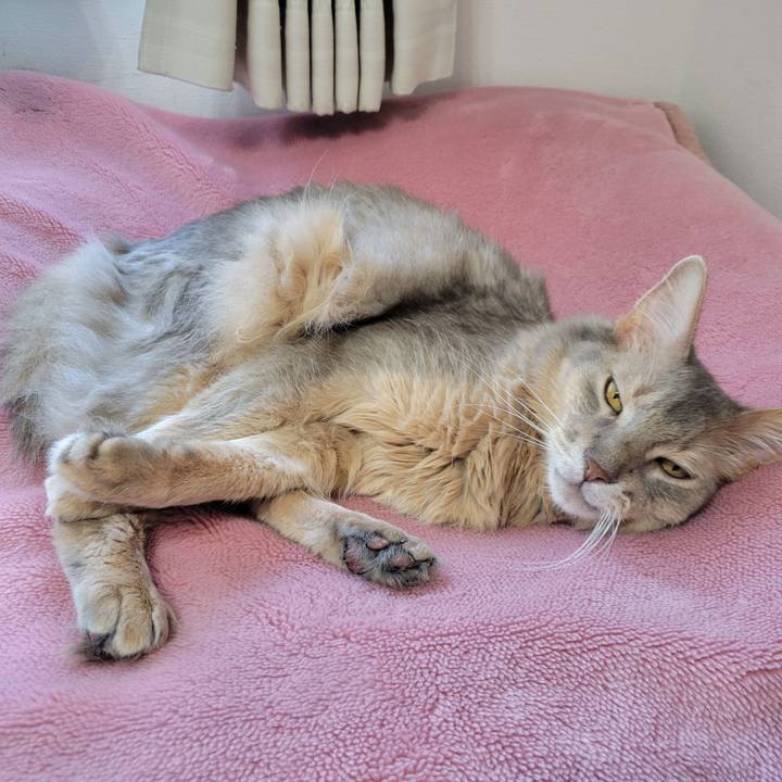 37ba4ca7 ae53 46a3 bcb8 9c5f3fbed2f7 1653373545494