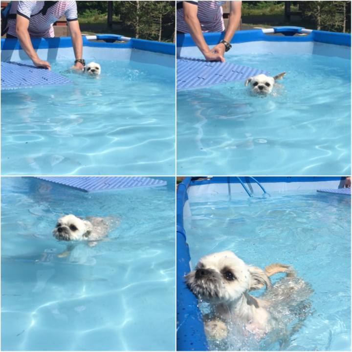 37ba7bb9 5d00 49a9 b3c7 8b2cfc406b55 1523493589924