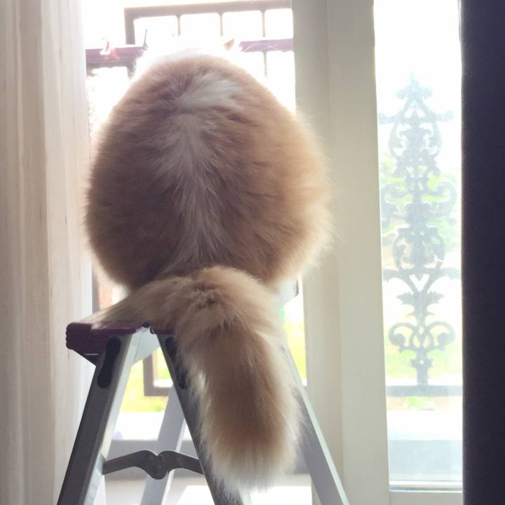 37ba7d7e dd1a 48ee a78d 06b51a14aed9 1560940614386