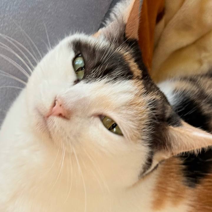 37ba8bc2 e07e 42e9 a196 3aa3ebde577e 1739240615350