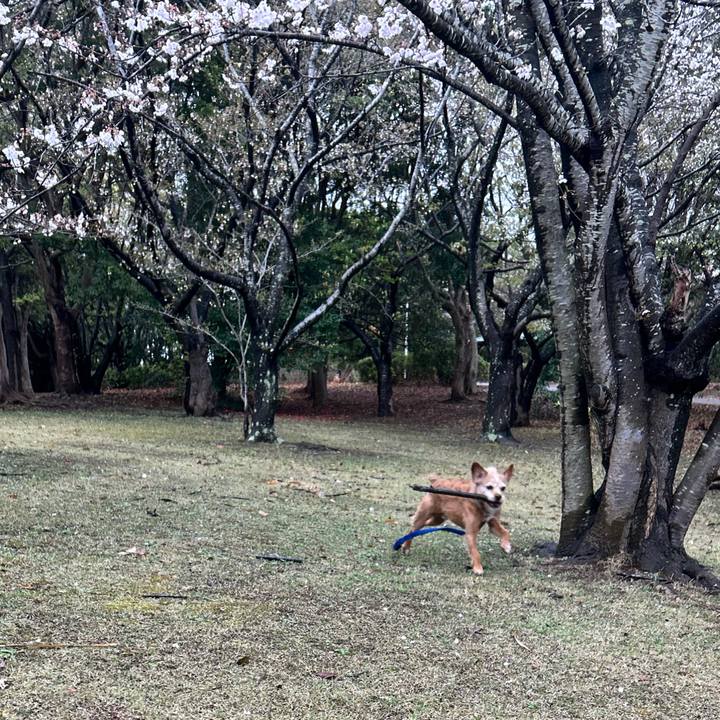 37bb1fe4 3891 40aa a23f 163956f822ee 1743765381257