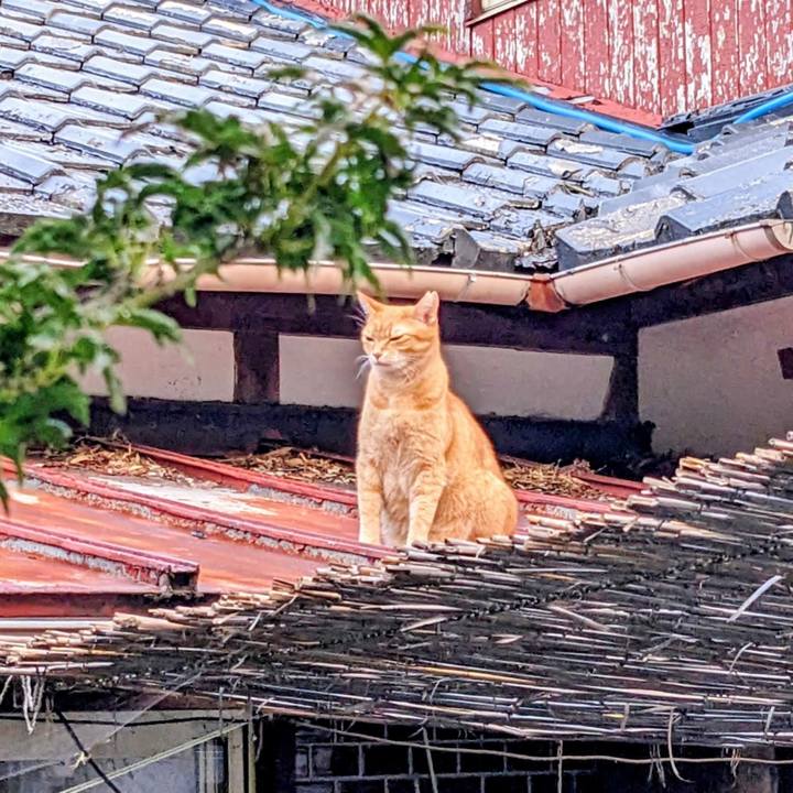 37bb2dc8 3942 489c b881 e9f9309f6c22 1757975335066