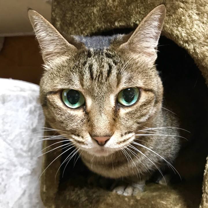 37bb3fe9 e9fb 4eee a063 1bd02c8323e1 1524556627494