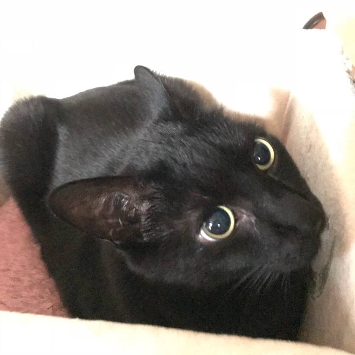 37bb5839 1cb9 417b 81f3 302ea42d5b77 1516151593783