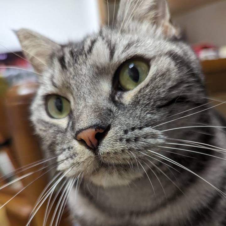 37bb5b6f c64a 44da a6ca 8fdef783d907 1689041119872