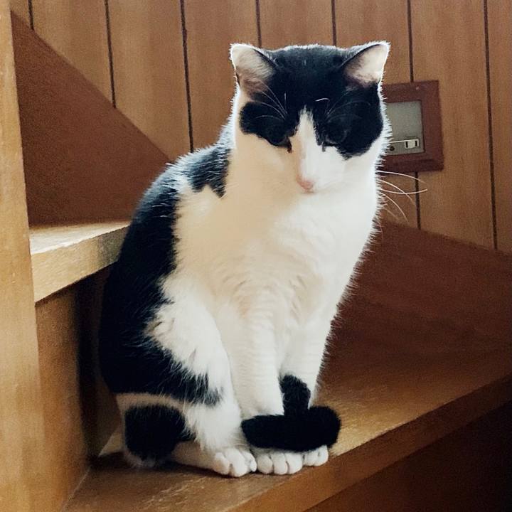 37bb855a 5a3b 43d6 a38c 055b94f7b63d 1550974295581