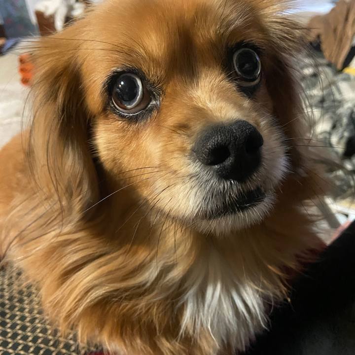 37bb8b81 8885 43fe 8bff 6f3a6378e976 1668720387801