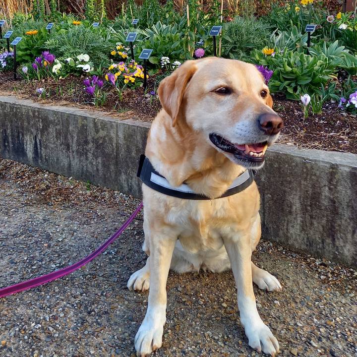 37bb9dd4 865f 40af 955c 460dee4dacdb 1615462759921