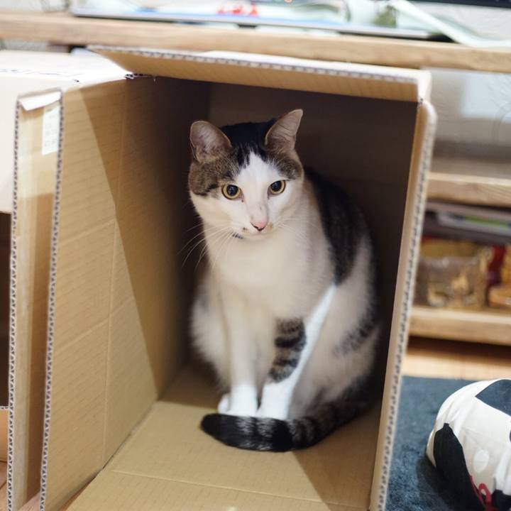 37bbca84 9eef 4163 989e 74601d8f3431 1518046471226