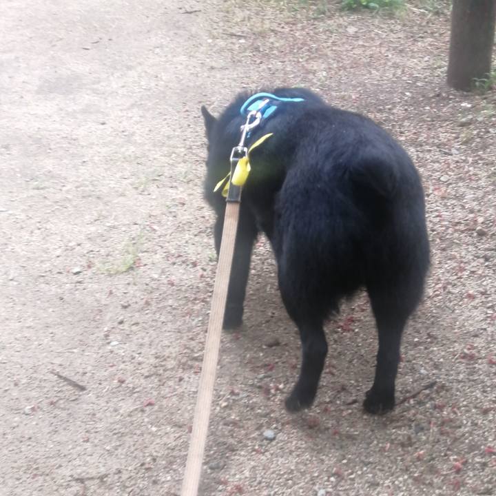 37bc3530 452c 4266 ba7d 8bbc3d5e39e7 1649888499264