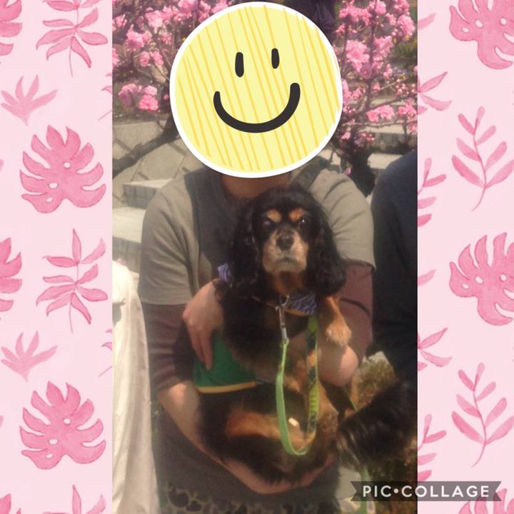 37bc4d74 7684 4603 8dff 1c562bc2f65d 1585927846175