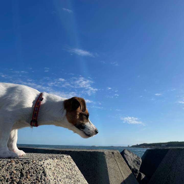 37bc9457 8621 455f b1f3 e8f59e6f3c54 1633567399747