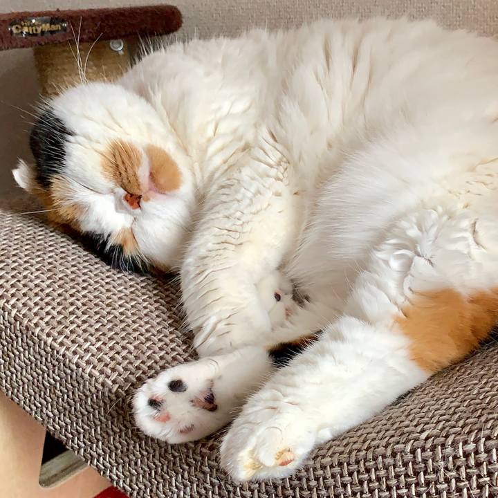 37bc98d4 faaa 41d2 a865 46bf4964d555 1563087074364