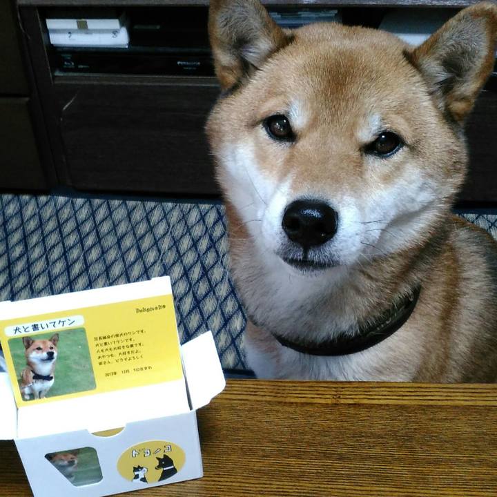 37bc9c3a 4529 4f4d b42b 4ce94ca8ba9d 1514003439153