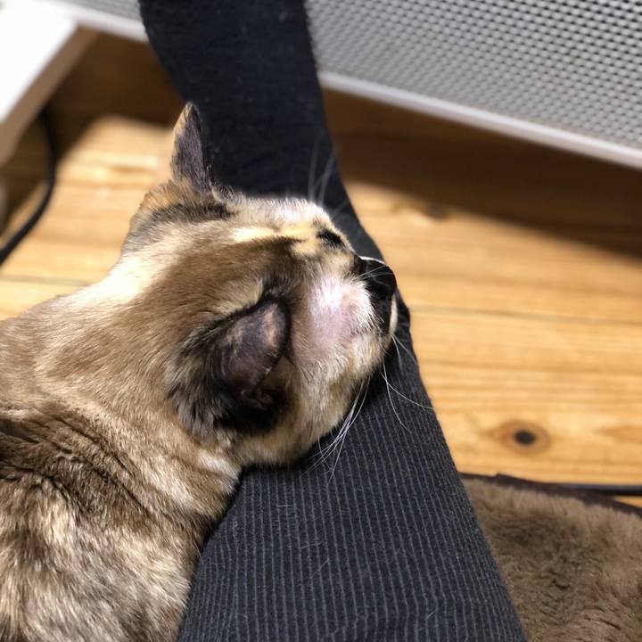 37bccbe2 3313 432b 8b5f ba5a7f85a926 1775058588498