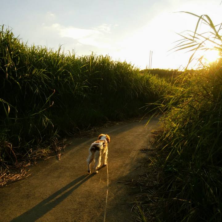 37bcd9cc 1101 4db4 85d4 f587b97e77be 1535976614836