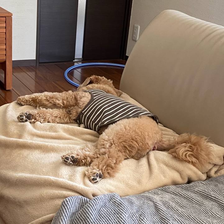 37bcdb30 e311 4f8a 8b2c 3fe06134babe 1587776528073