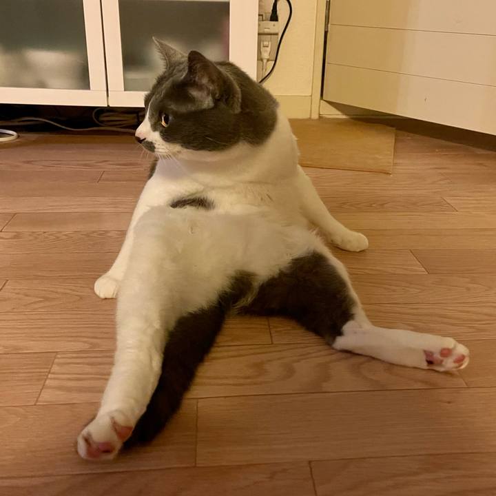 37bd0abd a019 45b1 9f91 fa3ae760e5df 1652788719651