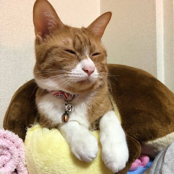 37bd1a58 4709 4053 967f 6f12607f68ce 1582122480459