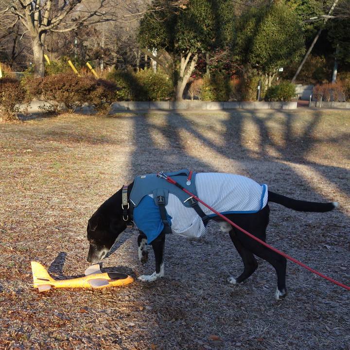 37bd445e fada 4299 affc 57212fbd93e1 1704847114942